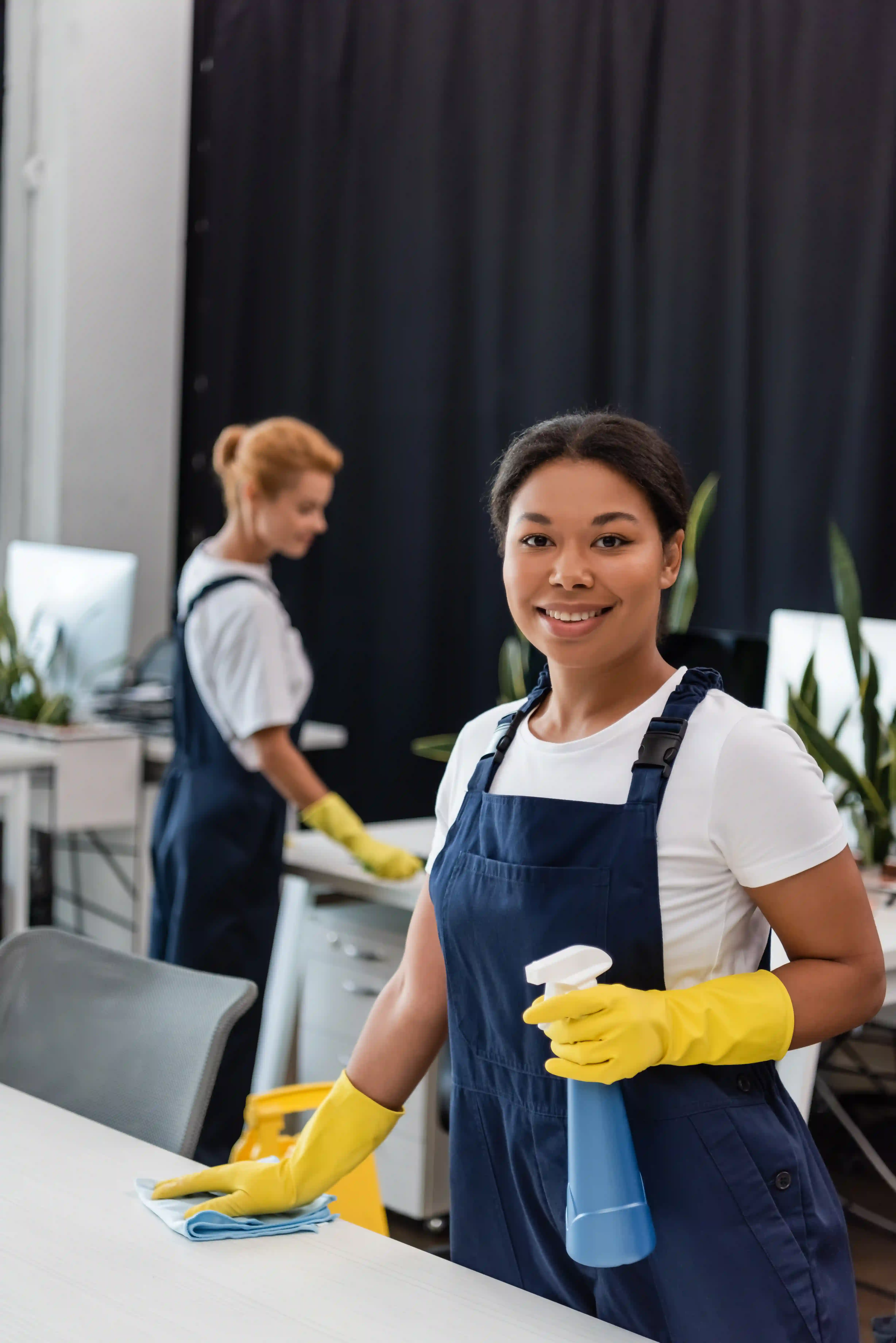 Professional Cleaner