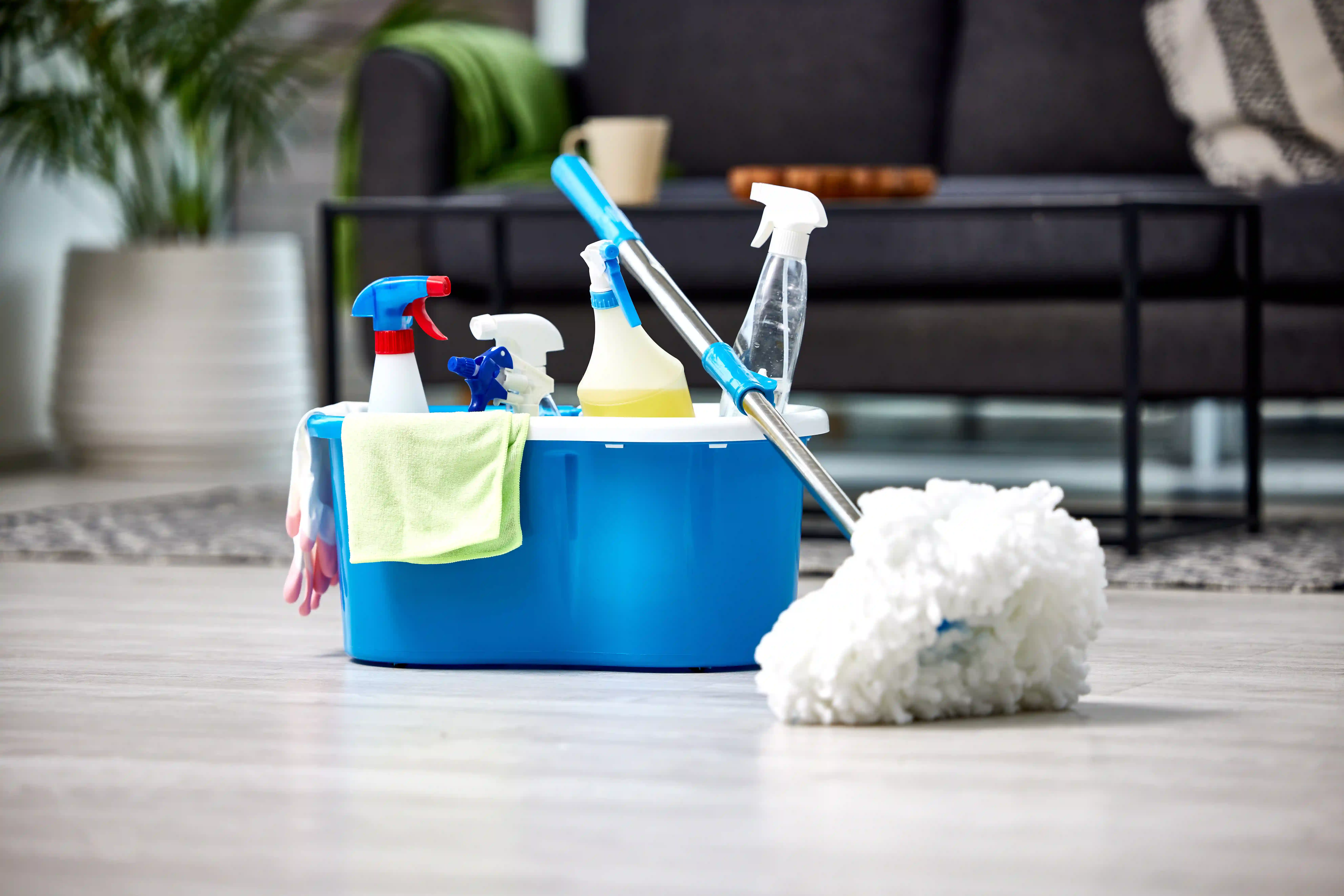 Standard Cleaning