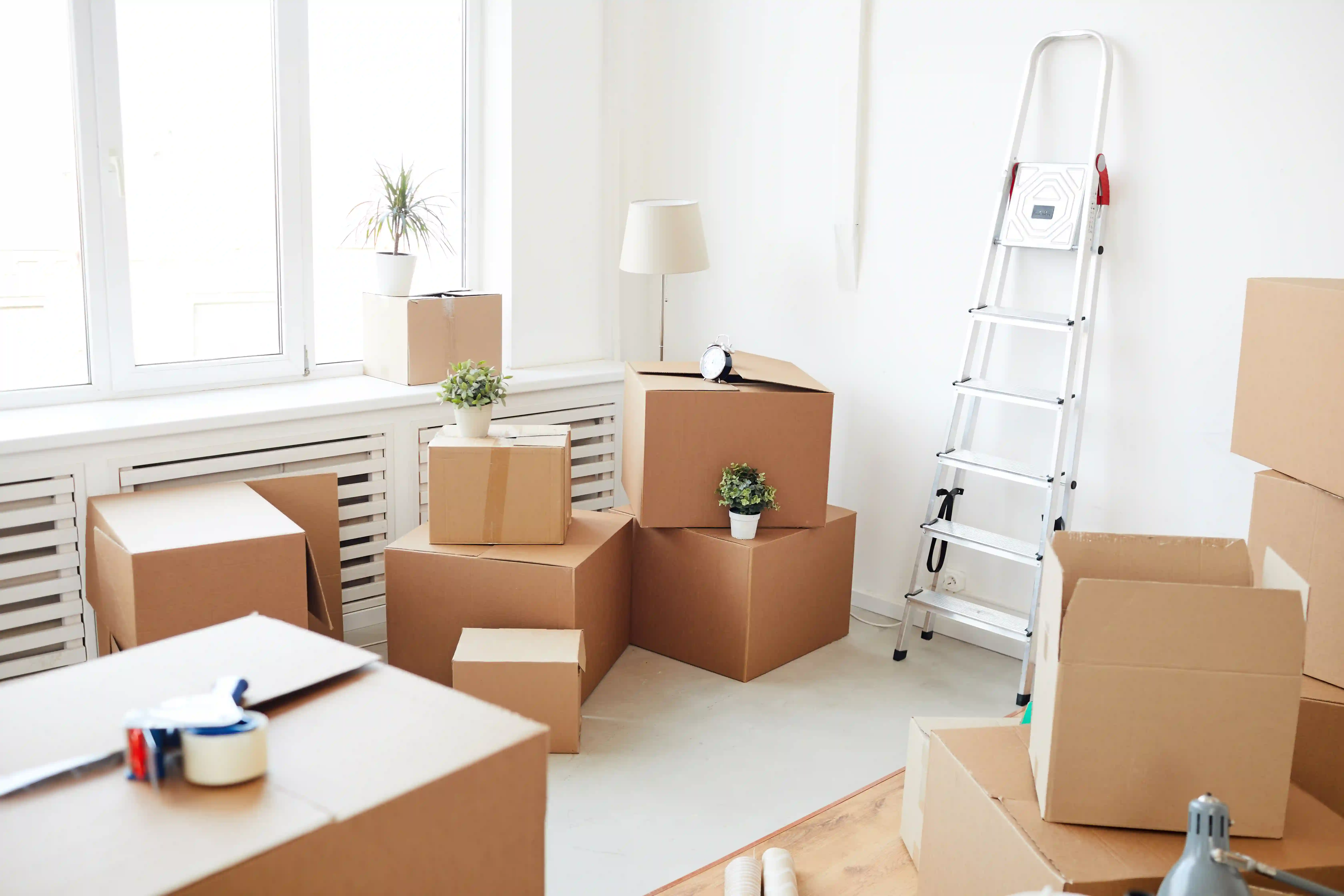Move In Move Out